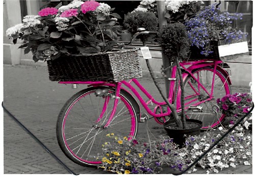 TECZKA A4 NA GUMKĘ Z NADRUKIEM - BIKE
