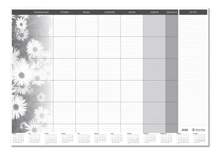 BIUWAR MIESIĘCZNY wkład (bez listwy) 470 x 330 mm