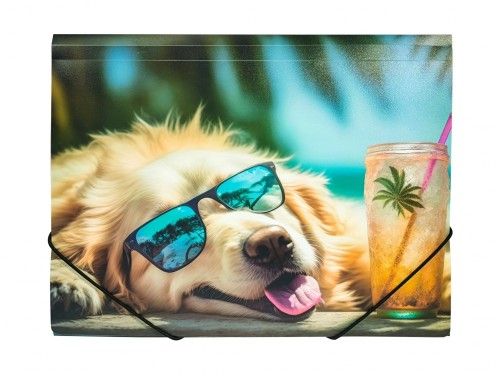 TECZKA A4 NA GUMKĘ Z NADRUKIEM - CHILLOUT DOG