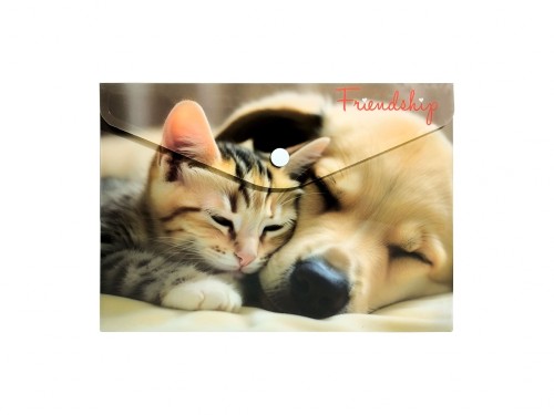 KOPERTA A5 Z NADRUKIEM - FRIENDSHIP