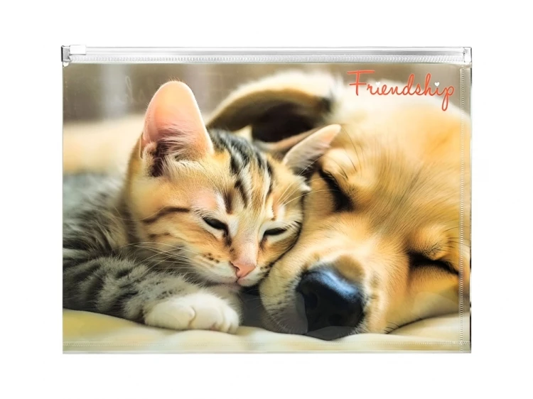 KOPERTA A4 Z NADRUKIEM ZIP - FRIENDSHIP