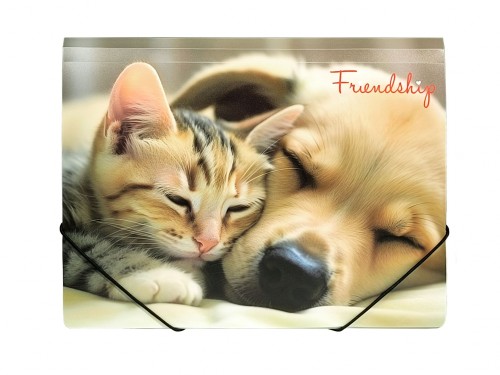 TECZKA A4 NA GUMKĘ Z NADRUKIEM - FRIENDSHIP