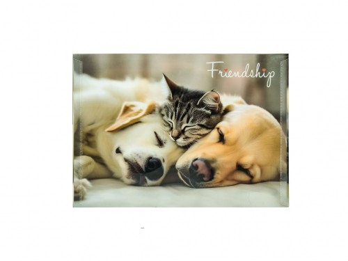 KOPERTA A5 Z NADRUKIEM - FRIENDSHIP