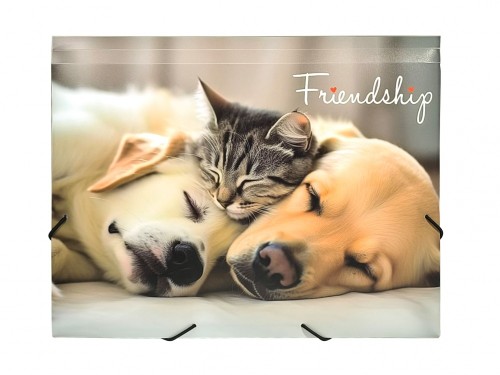 TECZKA A4 NA GUMKĘ Z NADRUKIEM - FRIENDSHIP